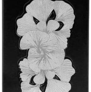 أنسام سيلفر