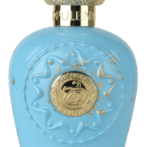 اوبلينت دبي